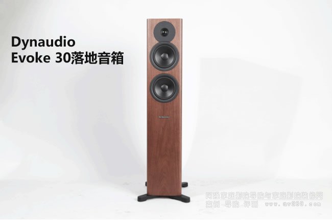  Dynaudio Evoke 30u(png)y