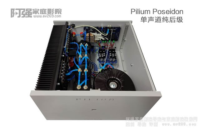 PILIUM Poseidon Monoblock Amplifier(j)