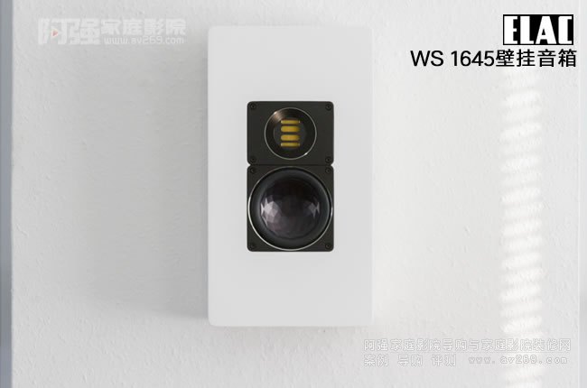 ELAC WS 1645ڒʽB