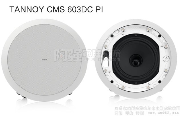  TANNOY CMS 603DC PIȫlͬS