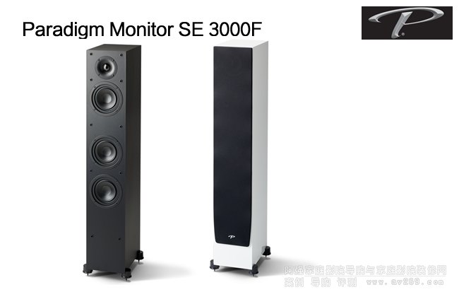 ôMonitor SE3000F